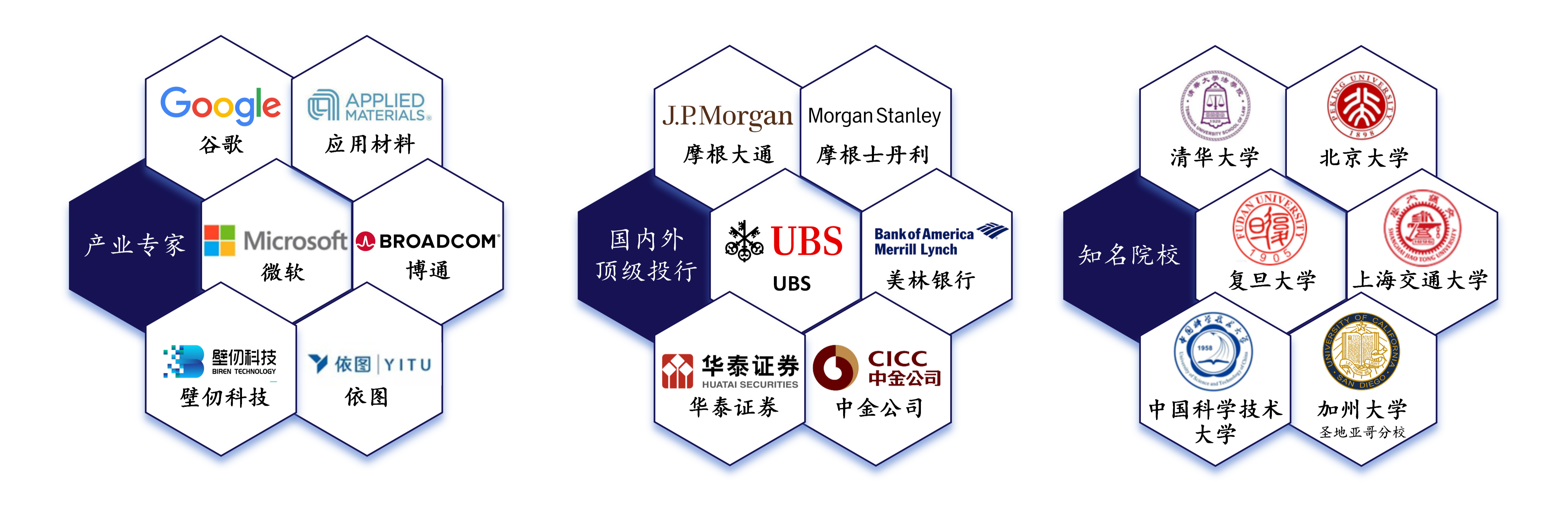 IO资本专业团队